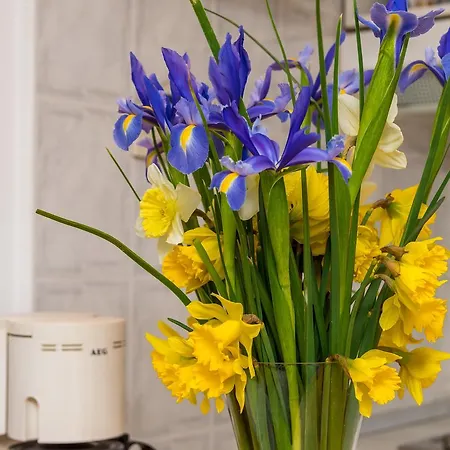 Simovic Appartement Dubrovnik