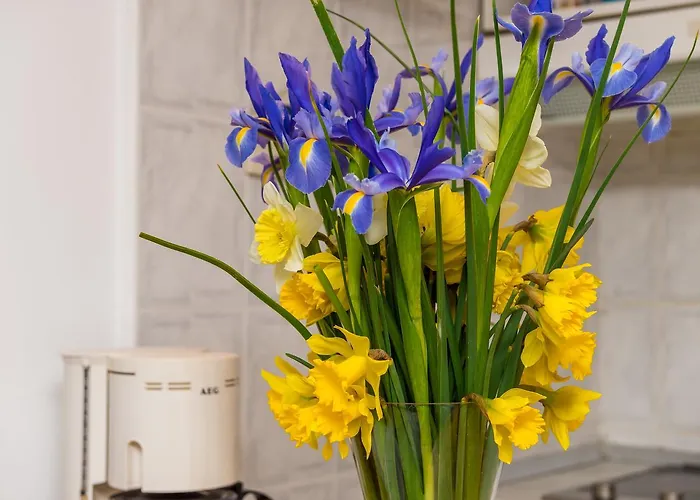 Simovic Apartamento Dubrovnik